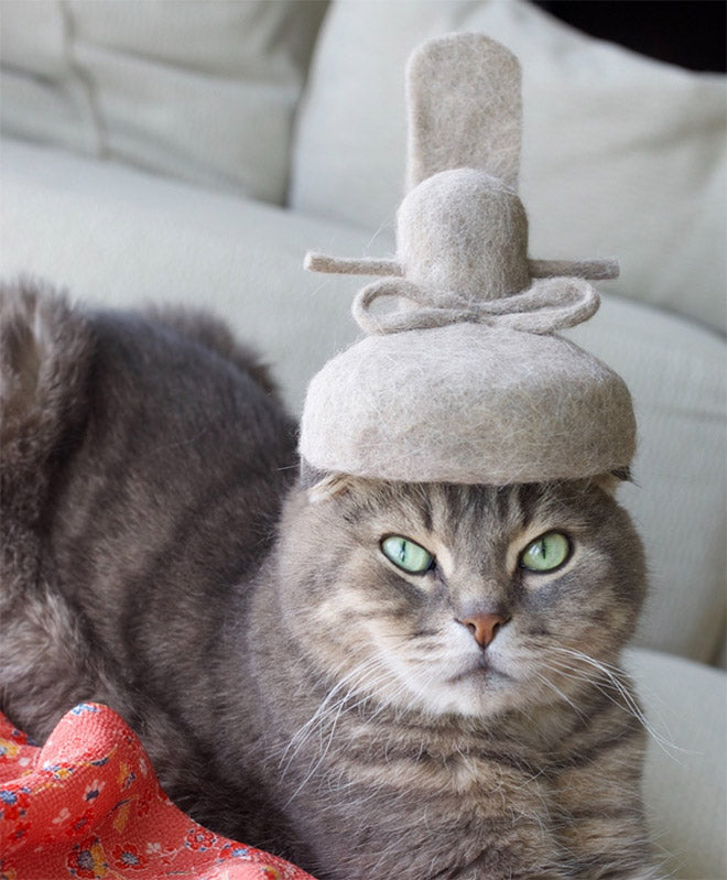 Fashionista